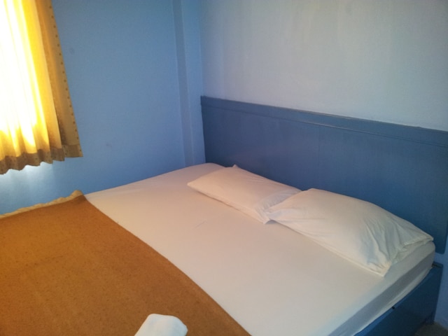 セントール イン