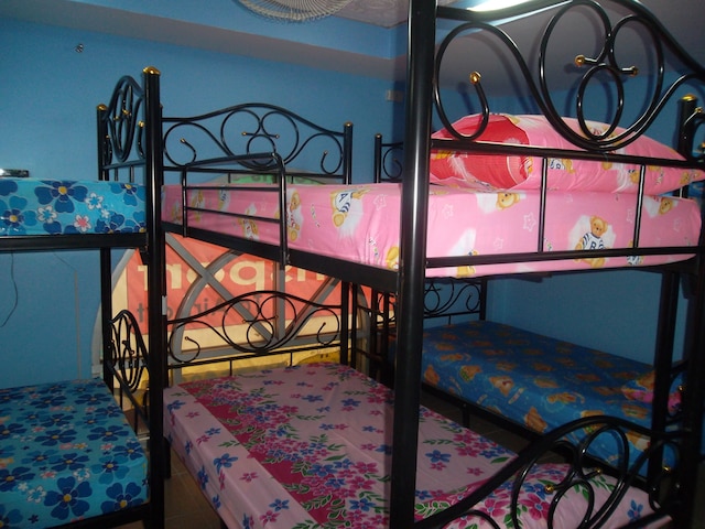 セントール イン