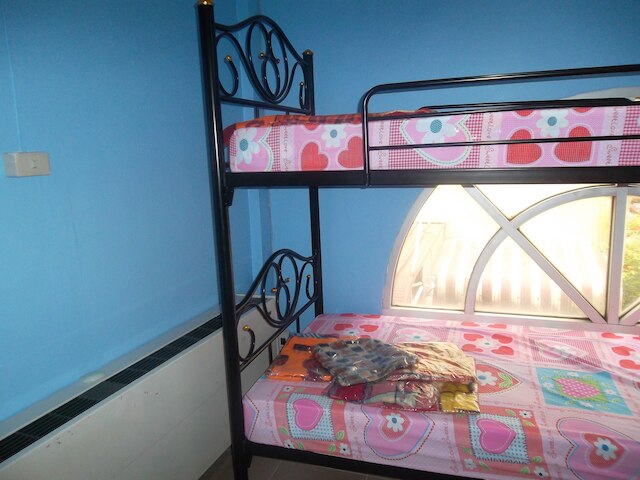 セントール イン