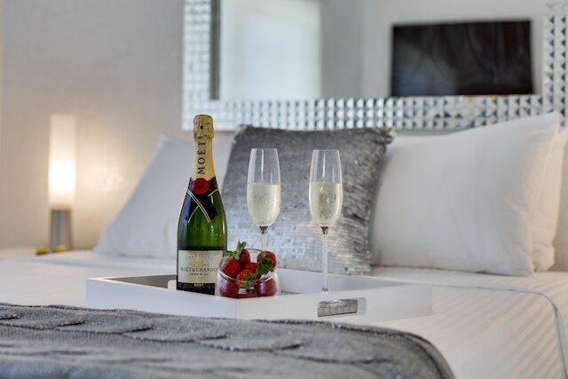 バーズ B&B サウス ビーチ マイアミ ブティック ホテル