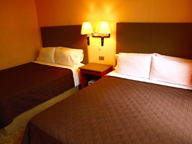 ザ パーム ハウス イン