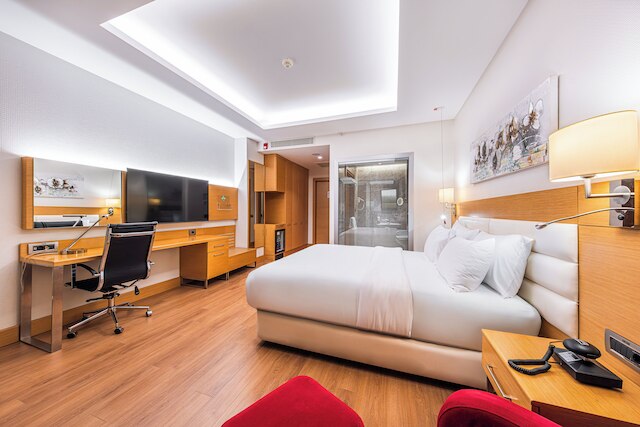 ホリデイ イン アンカラ - チュクランバル by IHG