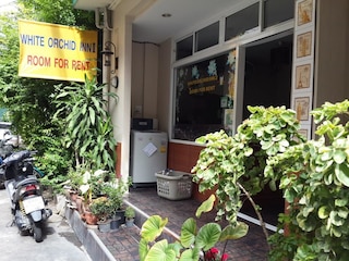 ホワイト オーキッド イン II