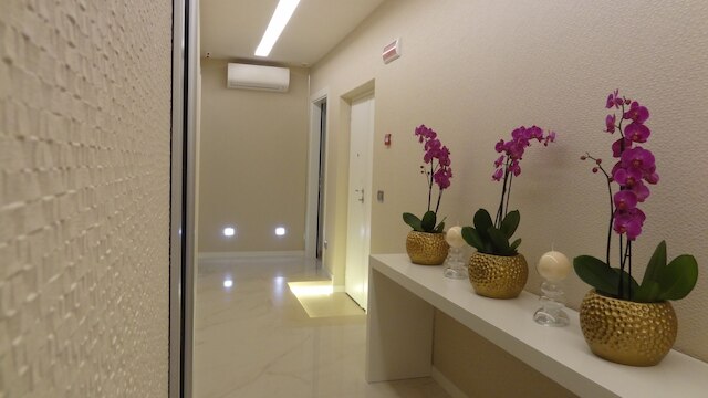 オーガスタナ ハウス