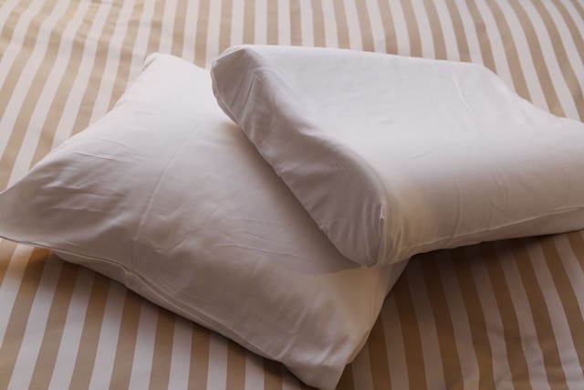 ホテルマイステイズ東池袋