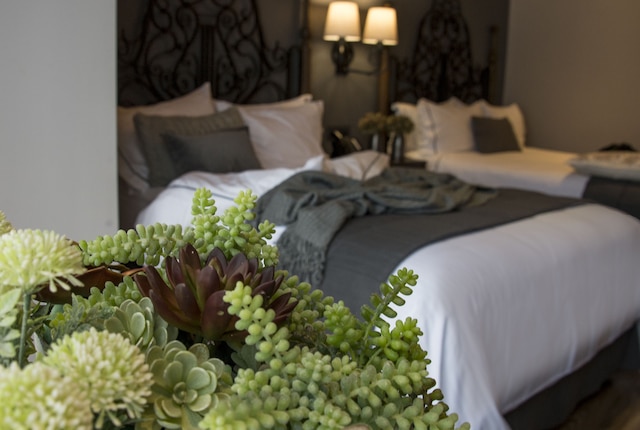 ソカロ・セントラル＆ルーフトップ・メキシコシティ