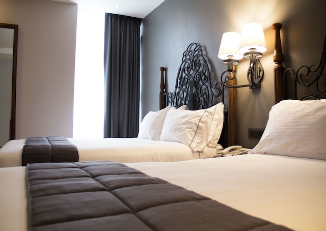 ソカロ・セントラル＆ルーフトップ・メキシコシティ