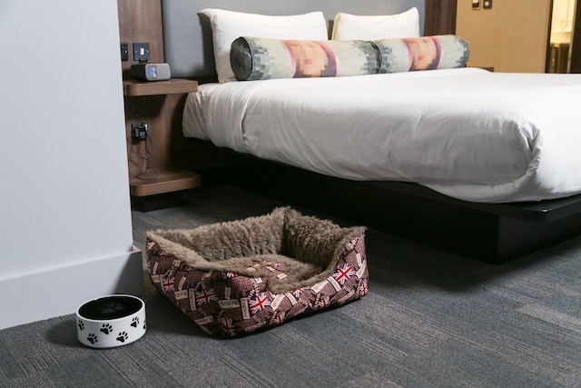 アロフト リバプール