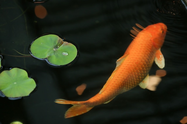 ル パッタ リゾート & ホテル チェンライ