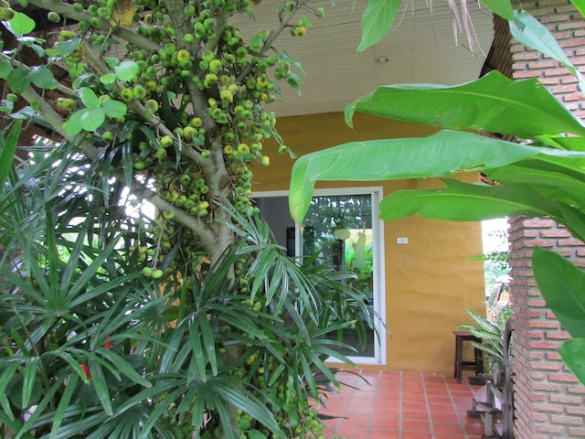 ザ パーク ドライブスルー チェックイン リゾート