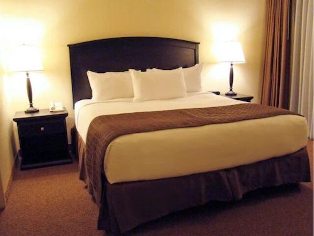 レインツリー アット ポロ タワーズ ラスベガス