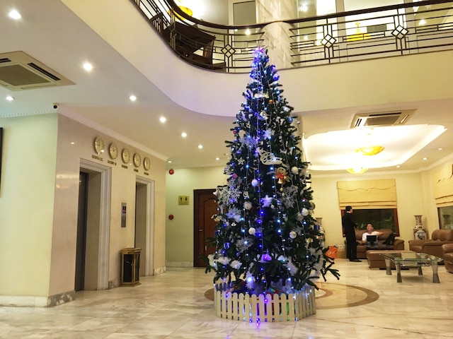 サニー ホテル 1