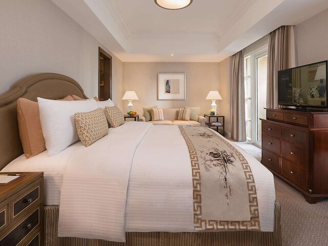 ディスカバリー プリメア