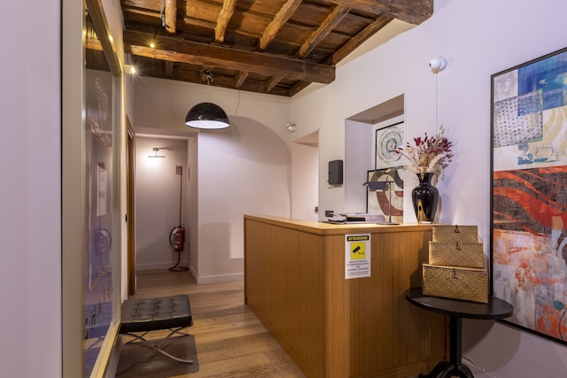 ダウン タウン - ドムス コレクション