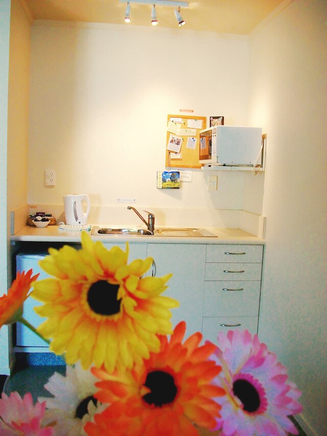 アンズ ボルキャニック モーテル