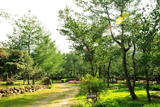 ゼン アンド パイン リゾート