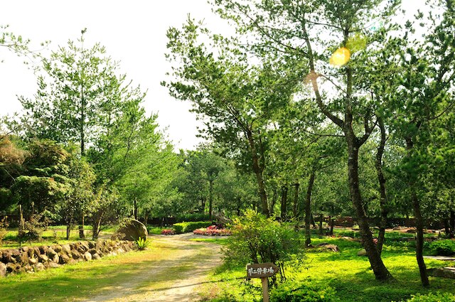 ゼン アンド パイン リゾート