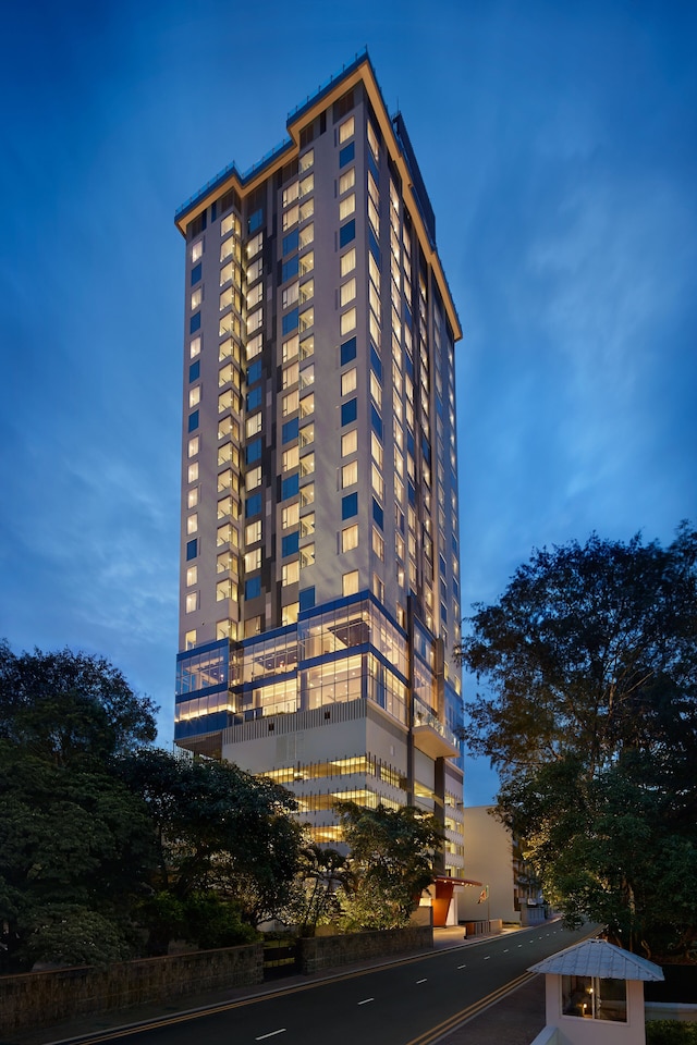 シナモン レッド コロンボ