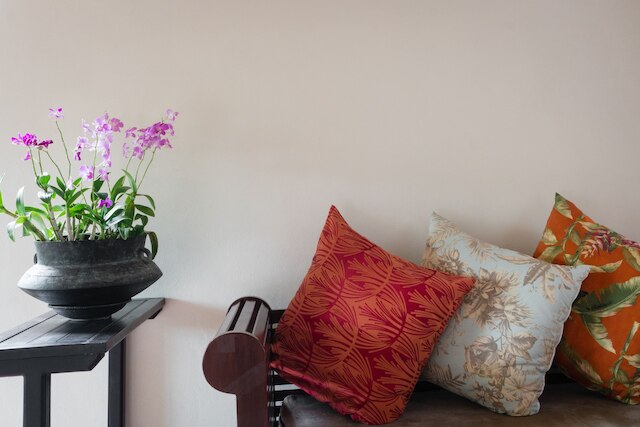 メゾン ダラブア