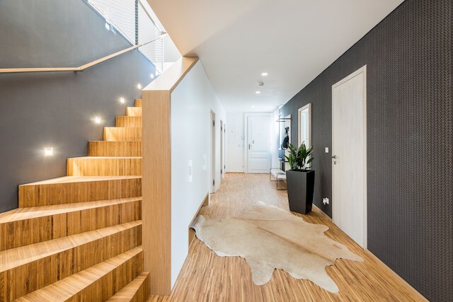 ムー ダウンタウン