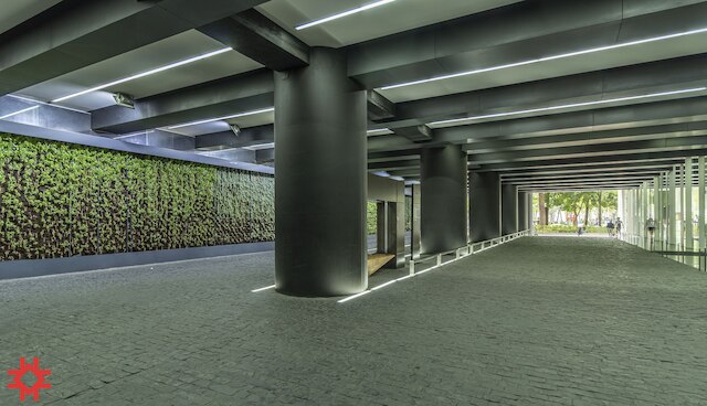 マジェンタ・バイ・ククン