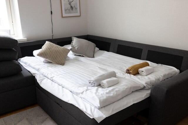 2ndホームズ セントラル 1BR シティーアパートメント