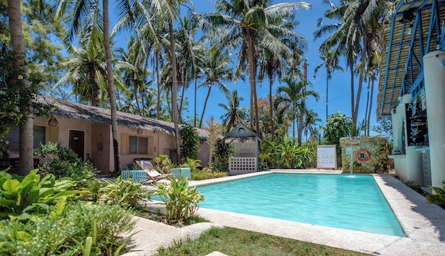 マッドモンキー・パングラオ