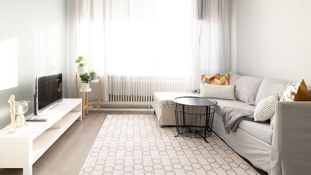 セカンドホームズ・セントラル 1BRトップフロアホーム