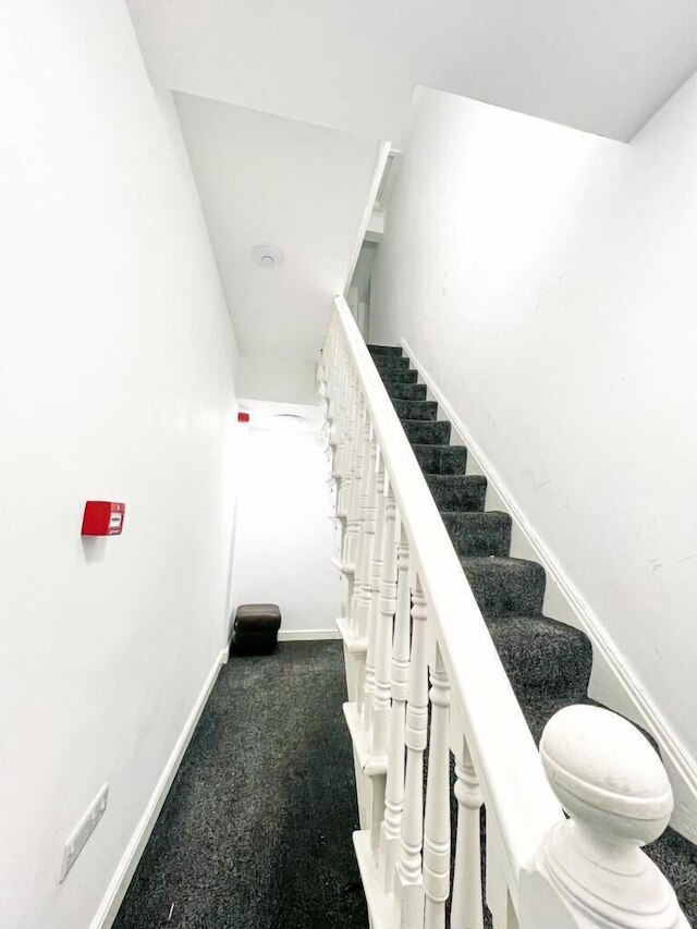 ザ・カウンティ ステイケーション