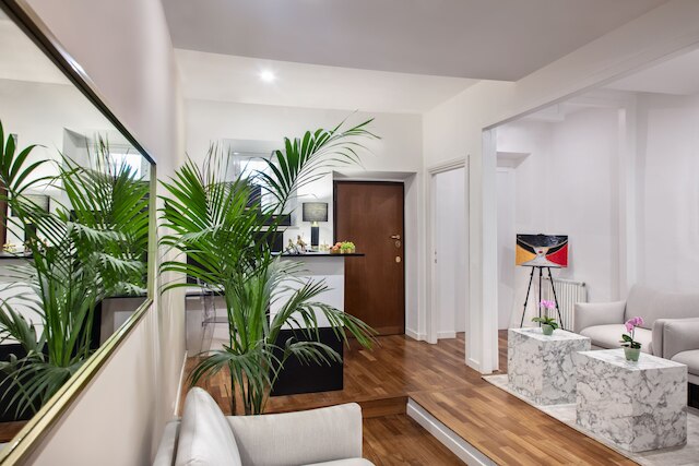 フェリーニ デザイン スイーツ