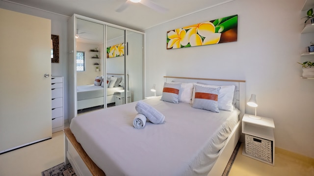 マーティンのエンターテイナー