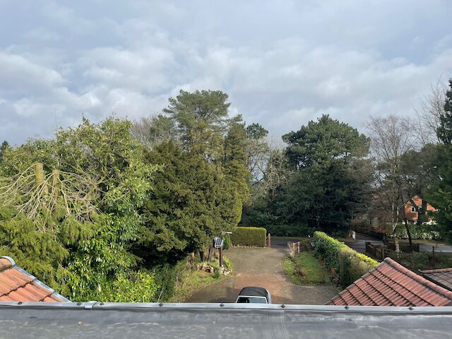 スタジオ/リッキー ヒルズ/ニア アトラクションズ/ガーデン/ペットオーケー