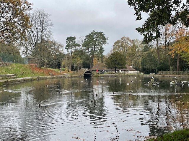 スタジオ/リッキー ヒルズ/ニア アトラクションズ/ガーデン/ペットオーケー