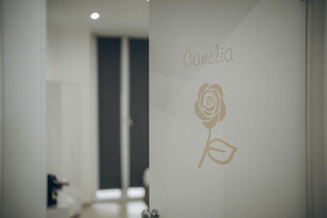 ディモラファンタジアチャームB&B