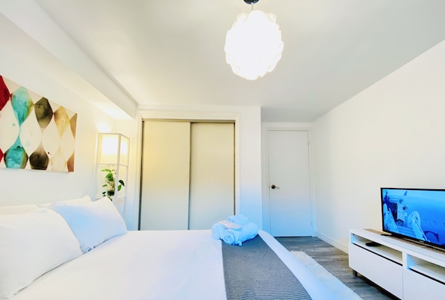 サンライズ・ツリー・ゲストハウス