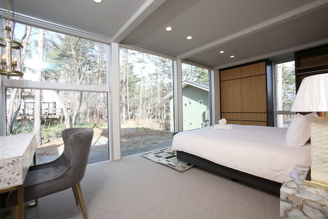 ザ・ムー バイ ザ・ハクバ・コレクション