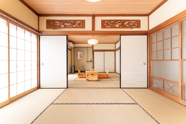 樹蘭蕉 箱根仙石原