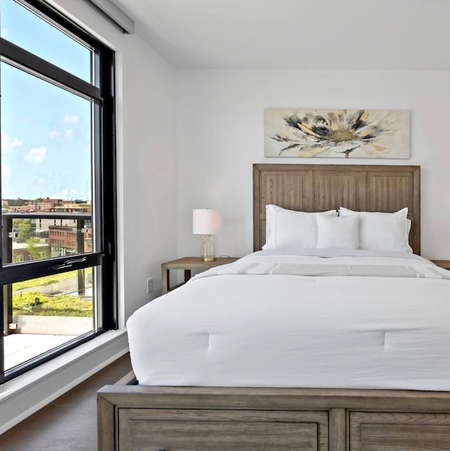 ピュア・ヴォヤージ・ショー