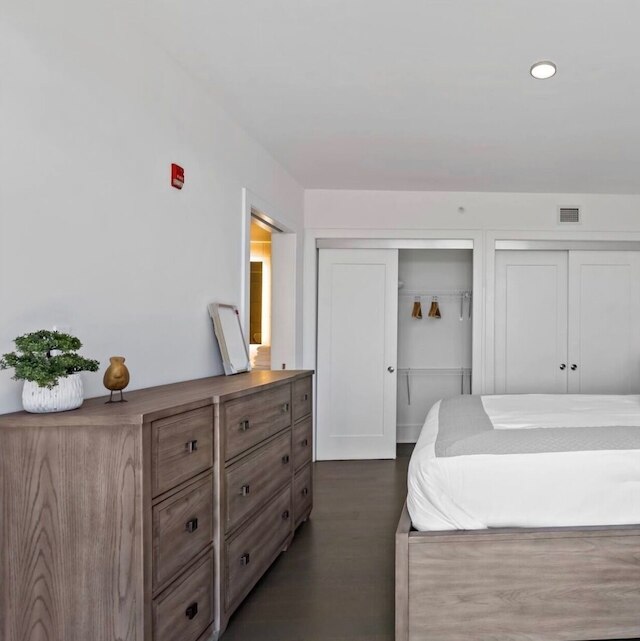 ピュア・ヴォヤージ・ショー