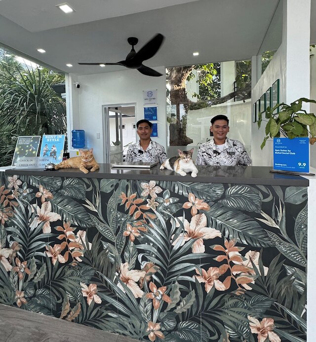 エピック スイーツ ボホール - アダルトオンリー