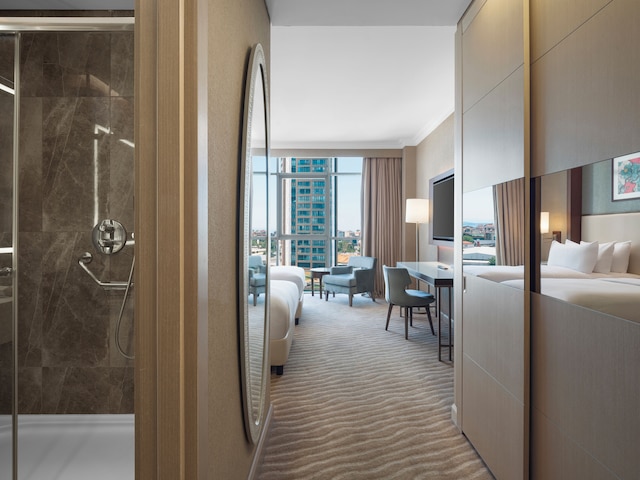 セレクトゥム・シティー・アタシェヒール