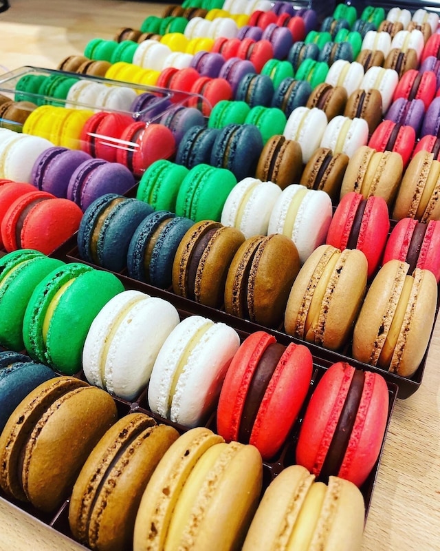 トータルアパートメンツ・ヴェルヴェト・フラムG