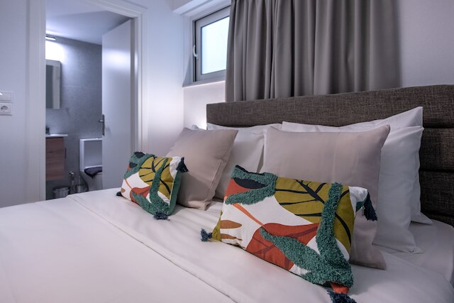 フェードラスリビングダウンタウンフラットアクロポリス