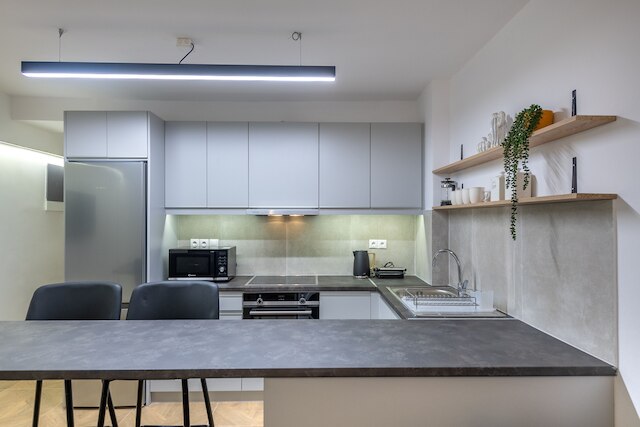 フェードラスリビングダウンタウンフラットアクロポリス