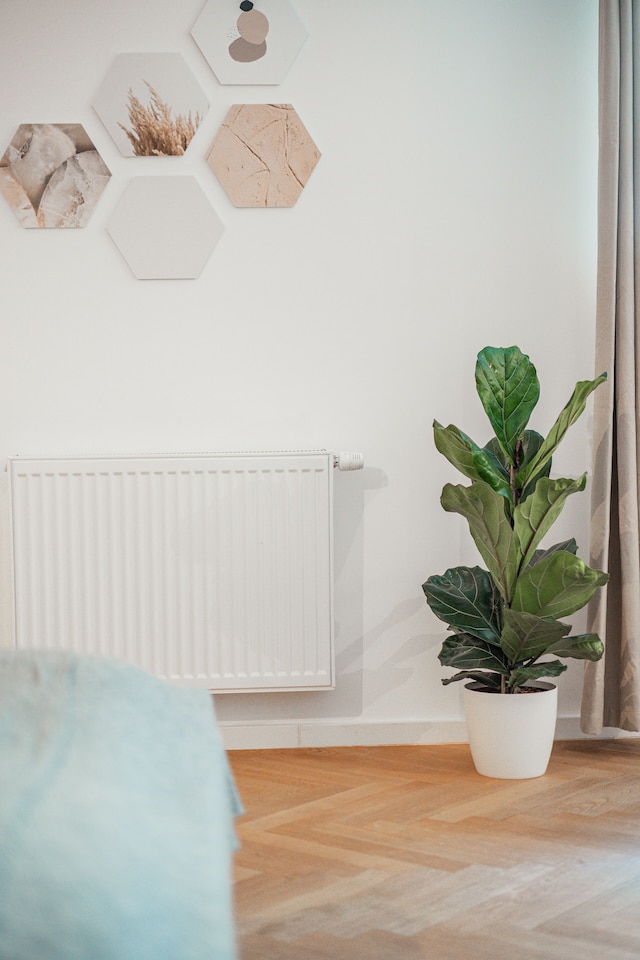 15sアパートメント