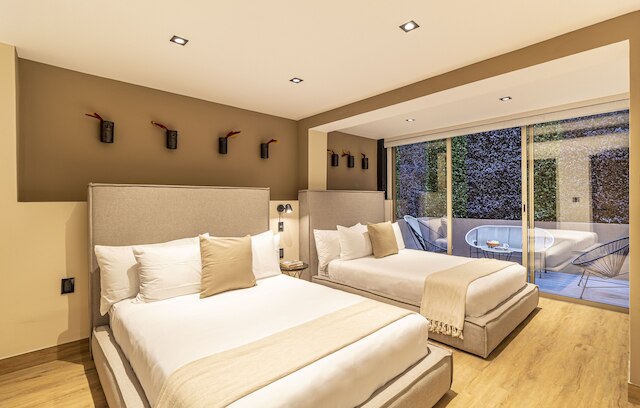 ククンのカサホラシオ