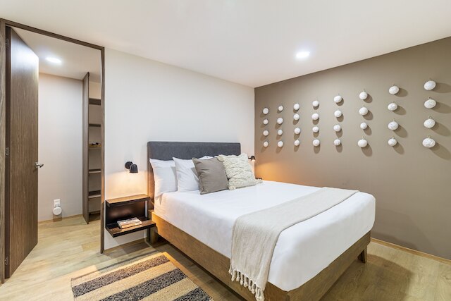 ククンのカサホラシオ