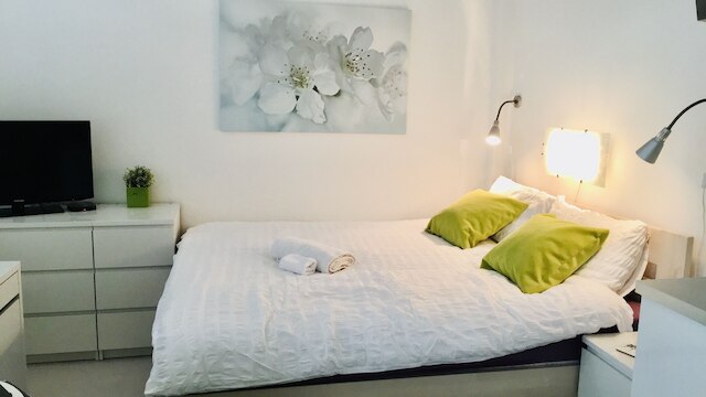 ホテル  フラット イン ザ ハート オブ プラハ