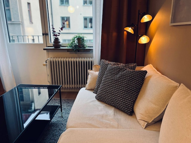 コージー 1 ルーム アパートメント アット ソーデルマルム