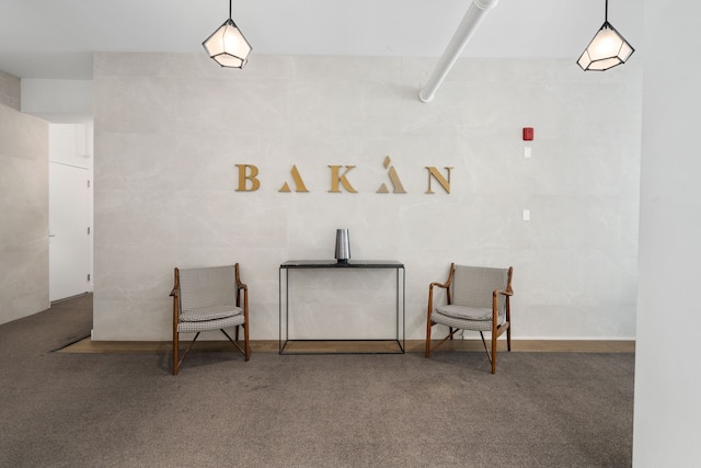 バカン - パレデコングレ